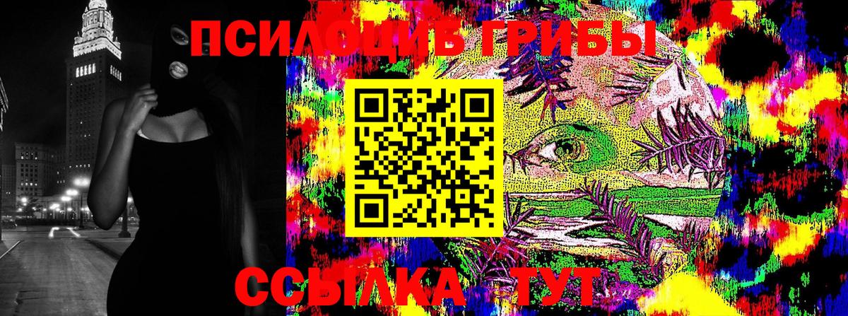 Псилоцибиновые грибы прущие грибы  Вход с VPN  Псилоцибиновые грибы Cubensis  Чехов 